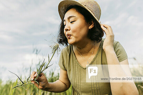 Happy mature woman wearing hat and blowing on dandelion in field
