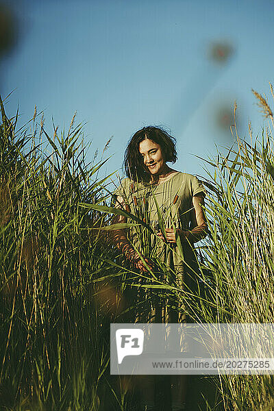 Mature woman standing amidst tall reeds in field on sunny day