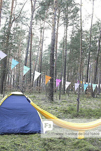 Forest campsite with tent  hammock and bunting