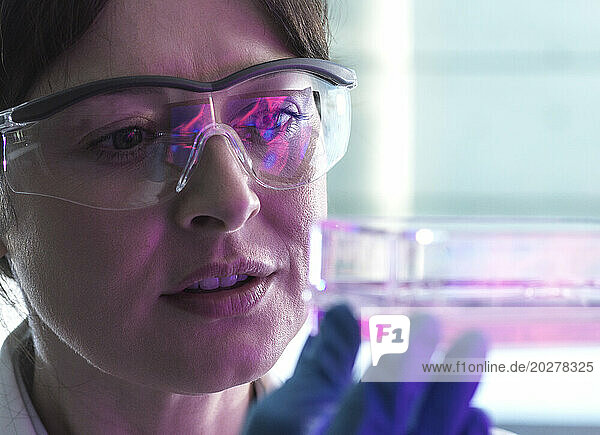 Wissenschaftler tragen Schutzbrille und experimentieren im Labor