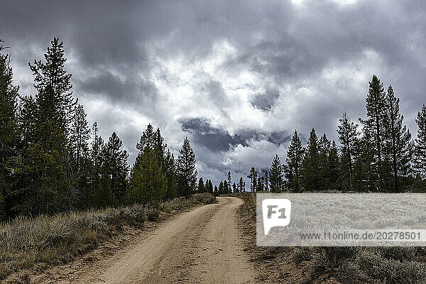 USA  Idaho  Dirt road leads through Sawtooth National Forest on cloudy day