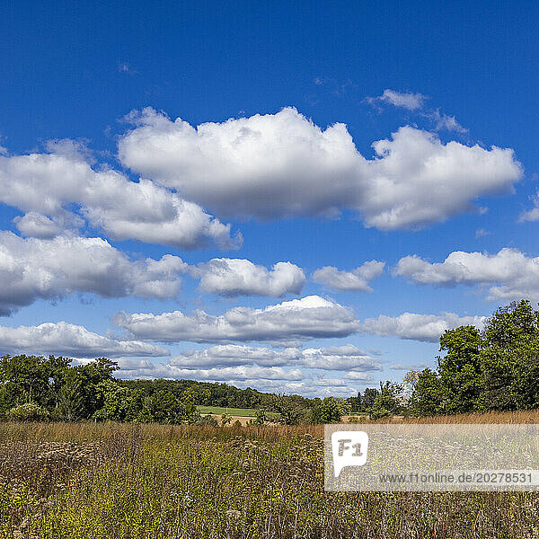 USA  Wisconsin  Clouds over landscape in Donald County Park near Madison