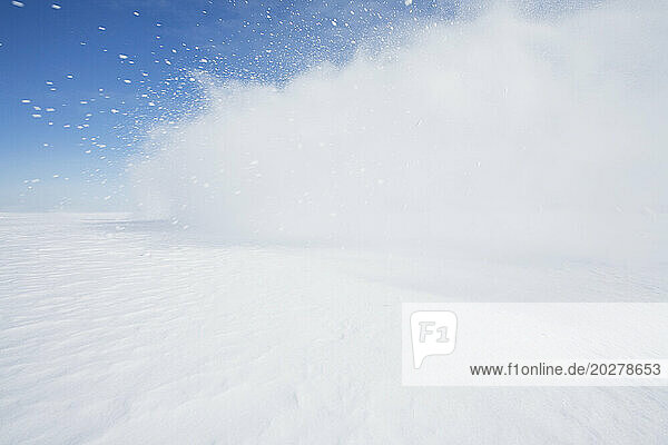 Blast of snow drifting blowing across frozen landscape  Hammond  NY  USA