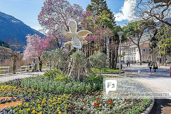 Flower border on the spa promenade in spring  Merano  Val Passiria  Val d'Adige  Burggrafenamt  Alps  South Tyrol  Trentino-Alto Adige  Italy  Europe