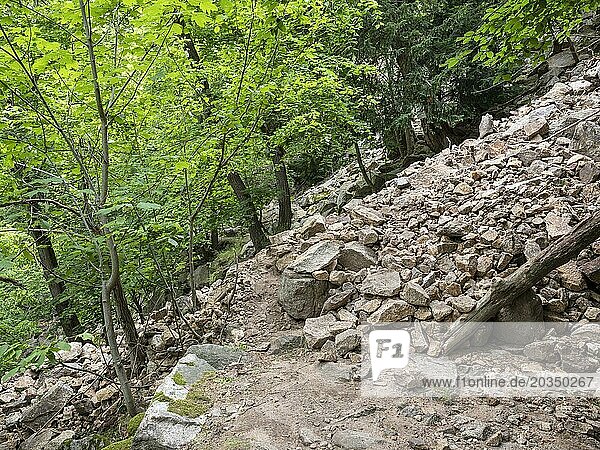 Landslide  mudflow  landslide  rockfall  buried hiking trail in the Bode Valley between Thale and Treseburg  Harz National Park  Thale  Saxony-Anhalt  Germany  Europe
