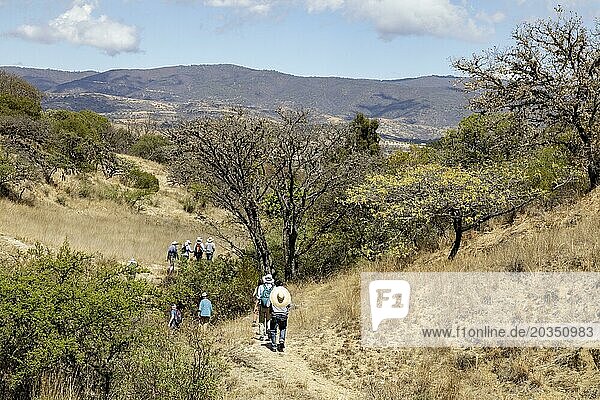San Pablo Huitzo  Oaxaca  Mexico  Farmers are part of a cooperative that uses agroecological principles. They avoid pesticides and other chemicals  and recycle nutrients through the use of organic fertilizers. Visitors to a farm hike on a nearby trail  Central America