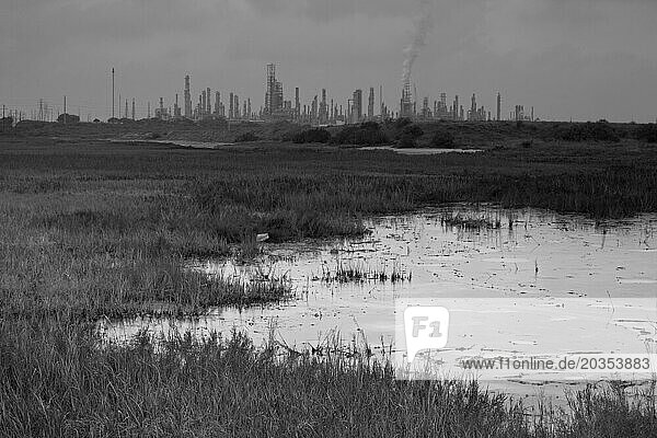 Oil refinery effects in Corpus Christi  Texas.