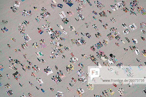 An aerial view of a large group of people relaxing on the beach  California  USA.