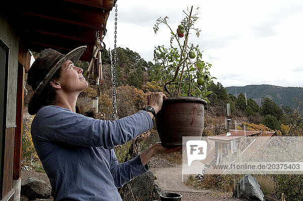 A woman smiles as she waters a tomato plant with rain water outside her Colorado home in the fall.