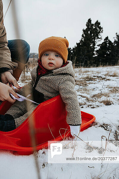 Mom joyfully places baby into a red sled