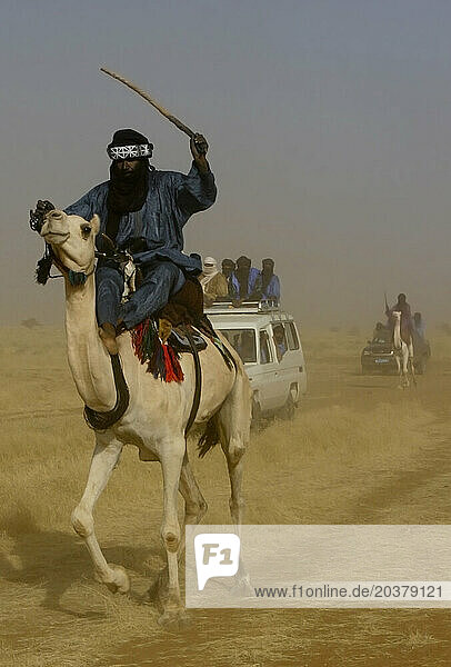 A Toureg rides his camel across the Sahel in a mixed convoy of cars and camels  Gao  Mali  West Africa