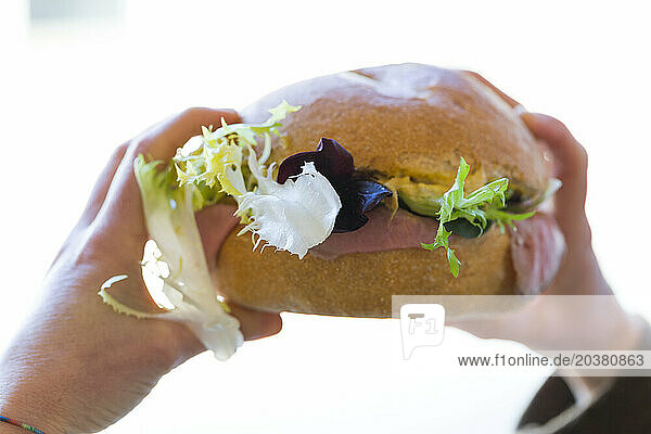 Roast beef sandwich with salad and tartar sauce