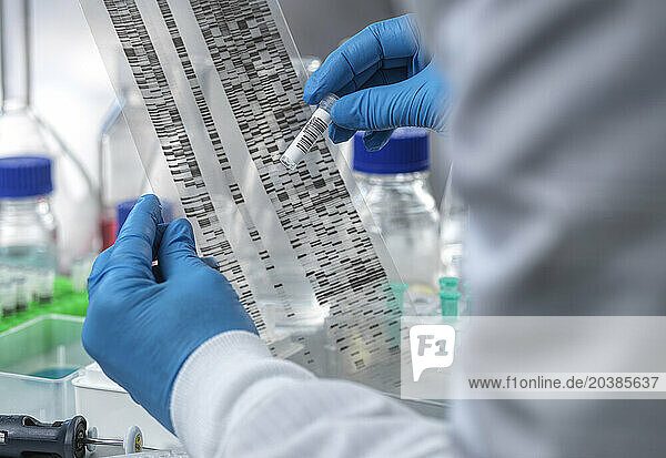 Senior scientist analyzing test tube and DNA autoradiogram in laboratory