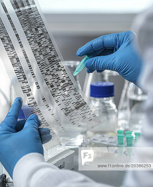 Scientist analyzing DNA electrophoresis data in laboratory