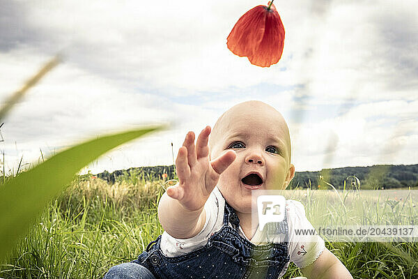 Cute baby girl reaching for flower in meadow