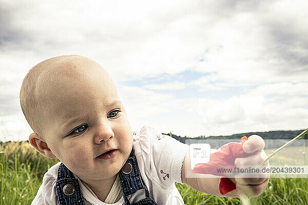 Cute baby girl holding flower at meadow