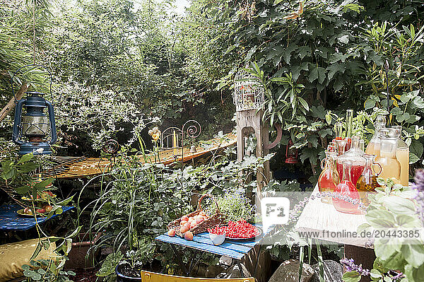 Austria Â SalzburgerÂ Land Â AltenmarktÂ imÂ Pongau Â Fruits and drinks in lush summer garden