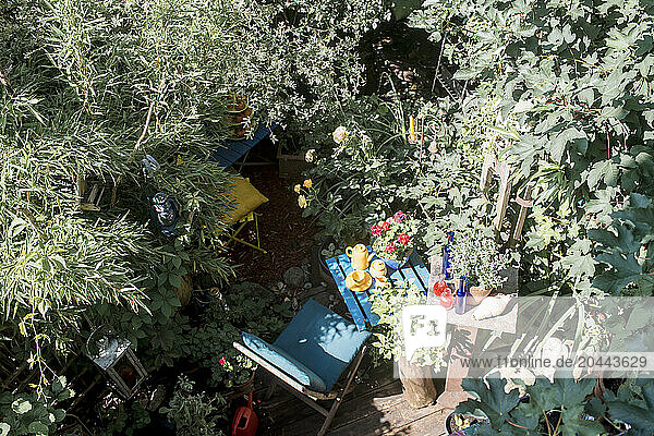 Austria Â SalzburgerÂ Land Â AltenmarktÂ imÂ Pongau Â Bottles andÂ tea set on garden table