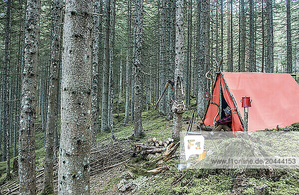 Senior man camping near bonfire in forest