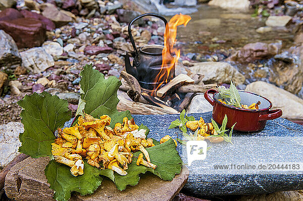 Freshly cooked chanterelle mushrooms kept on rock in forest