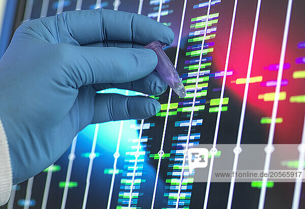 Senior scientist analyzing DNA profile on computer screen at lab