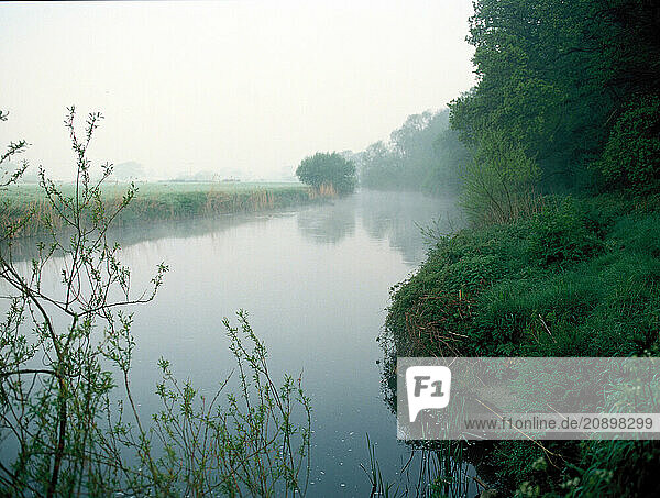 United Kingdom. England. Dorset. Misty marshland by River Stour.