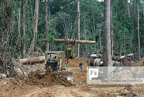 Malaysia. Sabah. Logging concession. Bulldozer clearing site.
