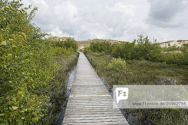 Germany  Schleswig-Holstein  Boardwalk in Wadden Sea National Park