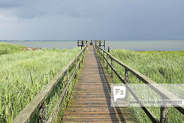 Germany  Schleswig-Holstein  Coastal boardwalk with observation point