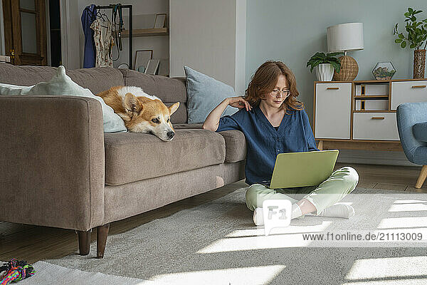 Freelancer working on laptop sitting by pet dog in living room