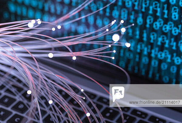 Fiber optics with virus attacking laptop