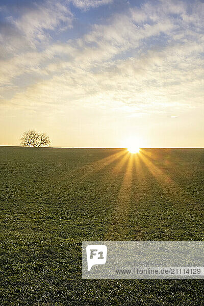 Scenic view of sunrise from agricultural field at Chiemgau in Germany