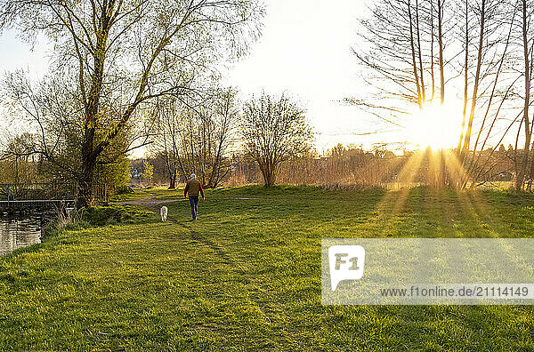 Senior man with dog walking on grass field at sunset in winter