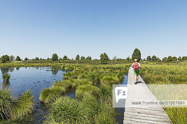 Woman walking on boardwalk under sky in High Fens national park  Wallonia  Belgium