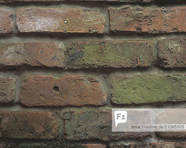 Architecture. Wall. Brickwork. Reclaimed bricks.