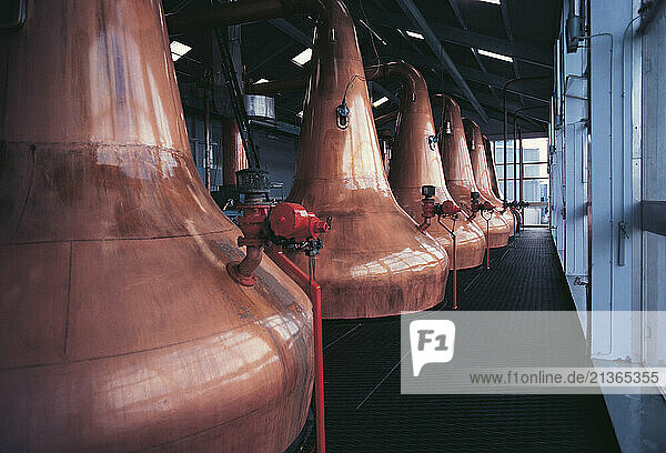 Scotland. Copper whisky still in a distillery.