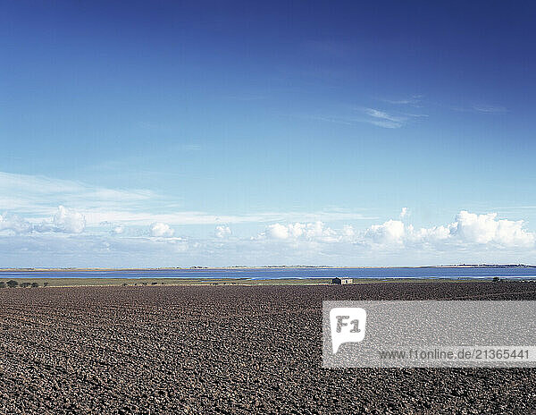 United Kingdom. England. Northumberland. Ploughed field on the coast. Near Lindisfarne.