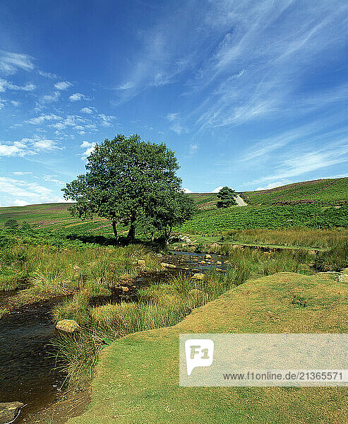 United Kingdom. England. North Yorkshire. Moors National Park. Baysdale Beck.