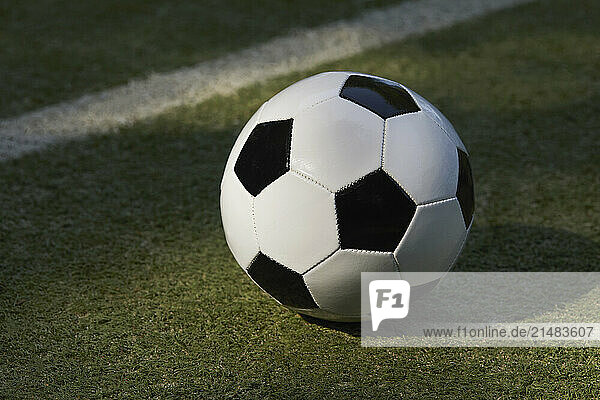 USA  New York State  New York City  Soccer ball on turf field