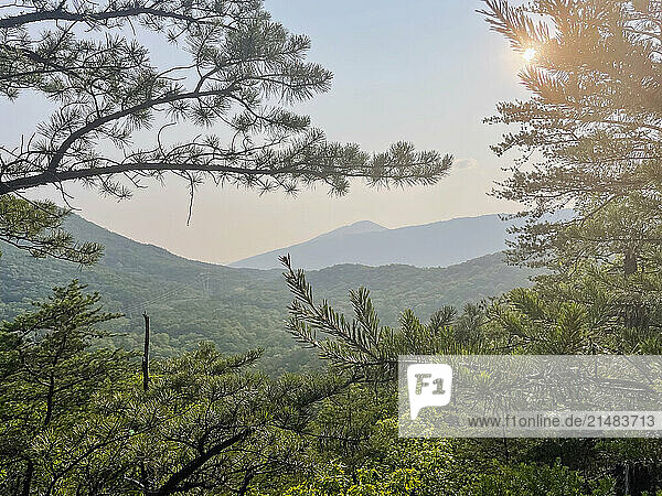 USA  Virginia  Blacksburg  Sun shining through tree branches in hilly landscape