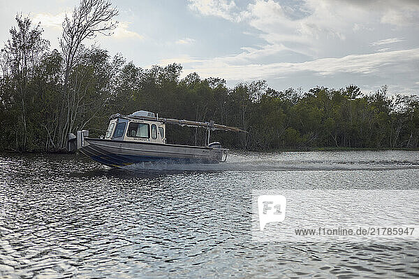 A boat cruising on a tranquil swamp river with trees lining the shore under a cloudy sky  New Orleans  USA
