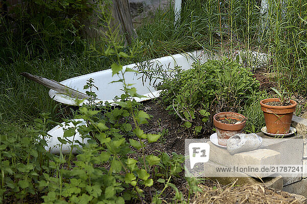 Abandoned white bathtub amidst overgrown greenery and weeds with terracotta pots and a concrete block in the foreground