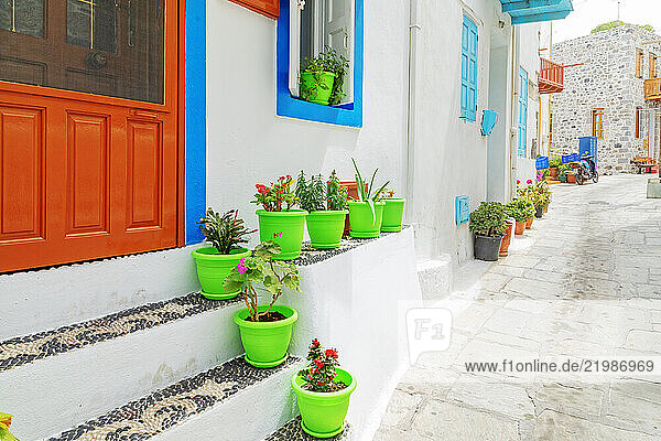Potted plants at traditional house entrance  Mandraki  Nisyros Island  Dodecanese Islands  Greek Islands  Greece  Europe