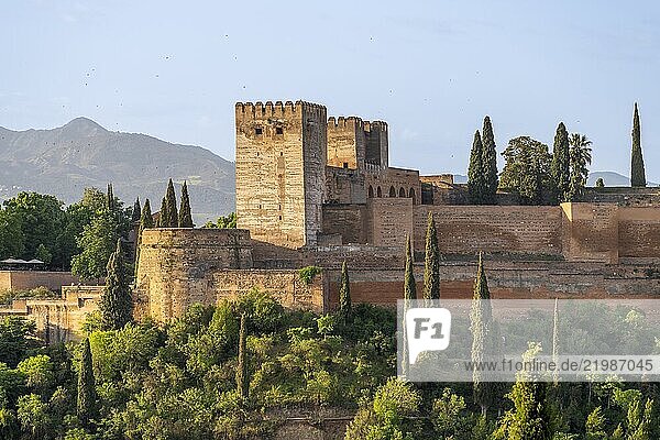 View from Mirador de San Nicolas to The Alhambra  UNESCO  Mudejar architecture  Granada  Andalusia  Spain