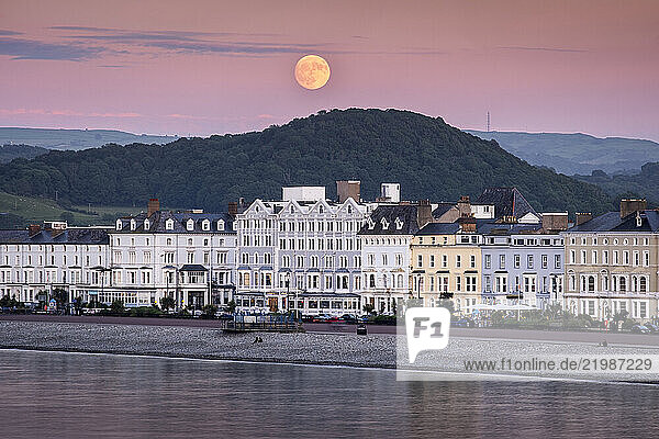 Strawberry Moon rising over Llandudno Seafront  Llandudno  Conwy County Borough  North Wales  United Kingdom  Europe