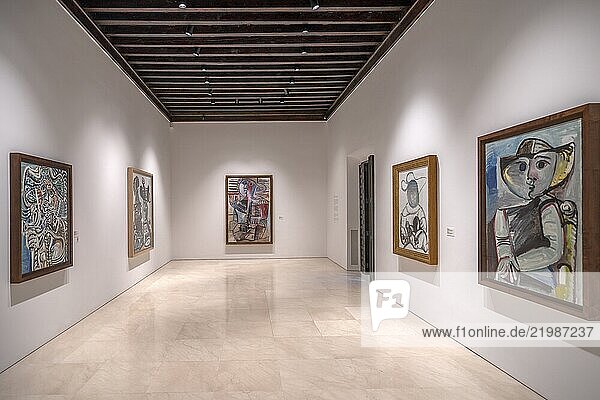 Picasso Museum  Malaga  Andalusia  Spain