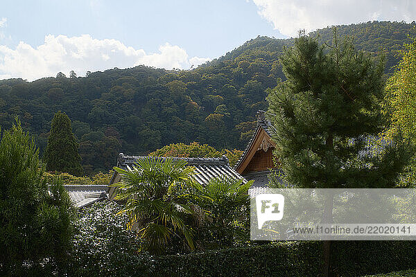 Lush trees and traditional Asian-style roof nestled in a serene mountain landscape. Kyoto  Japan