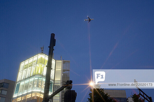 Airplane flying over city buildings with streetlight creating lens flare at dusk. Tokyo  Japan