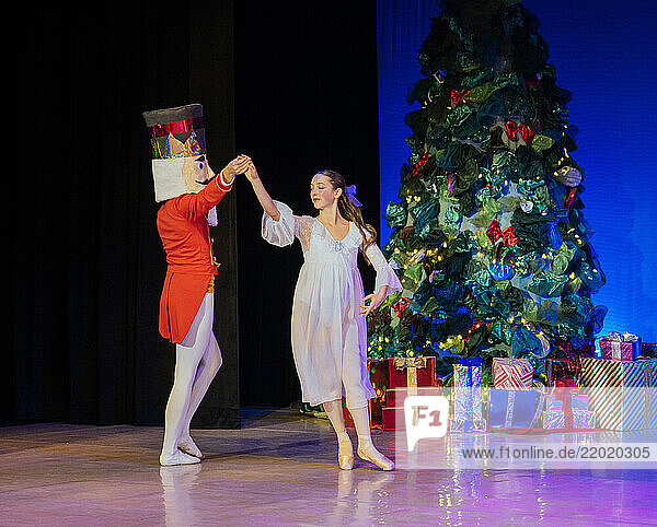Nutcracker ballet performance with a dancer and child on stage near a decorated Christmas tree. The Nutcracker  Bainbridge Island  USA