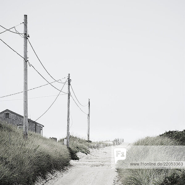 Electricity poles along beach road